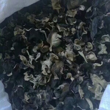 农家黑木耳新货毛木耳白背木耳肉厚黑木耳特产脆