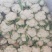 精品散花。