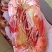 九节烤虾厂家直销品种多欢迎选购