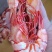 九节烤虾厂家直销品种多欢迎选购