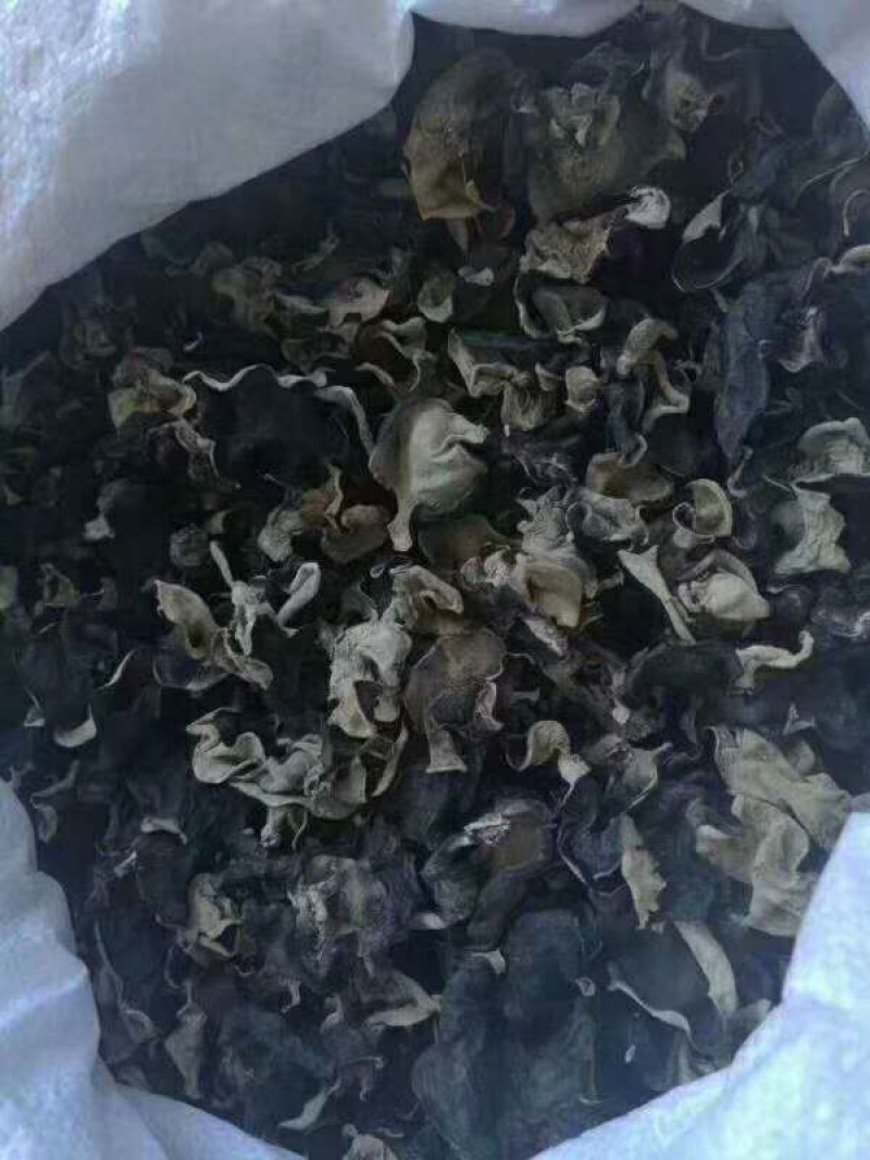 东北黑木耳毛木耳干货耳肉厚农家土特产无根干木耳