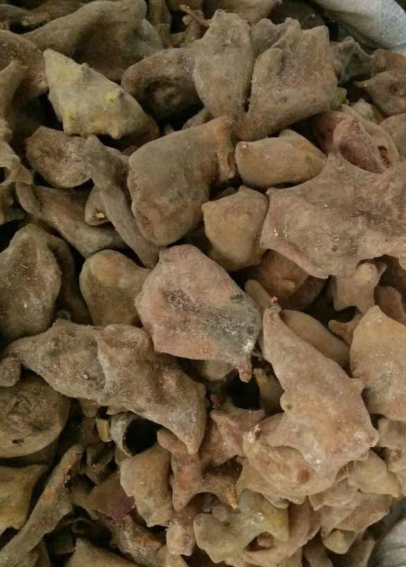 五倍子【包邮】三斤起发货可批量可零售量大从优