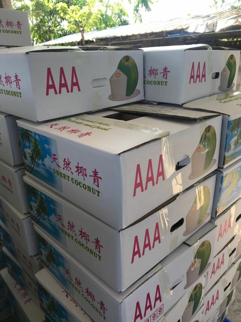 海南椰青一件代发（欢迎电商各大平台合作)