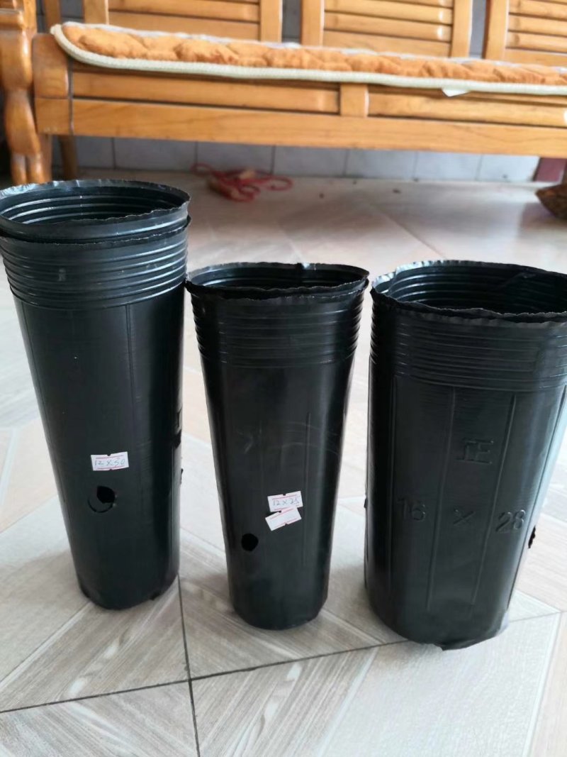 育苗袋营养杯方杯16x32包邮到家！