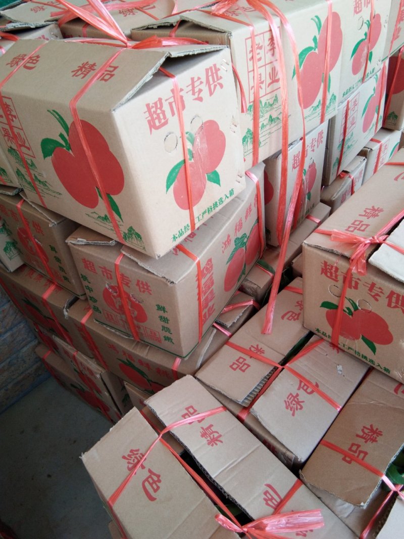 美脆（枣阳毛桃产地直供，大量供货）