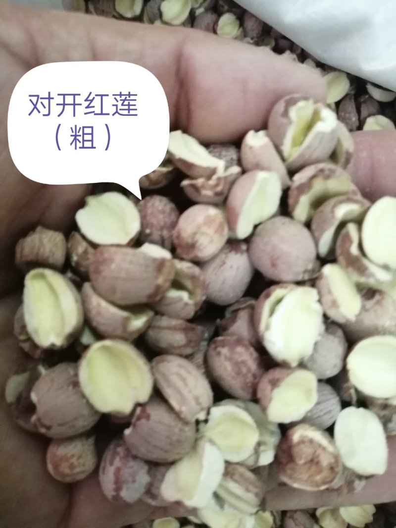 莲子，各种规格的莲子出售，颜色漂亮干度好，大量现货供应
