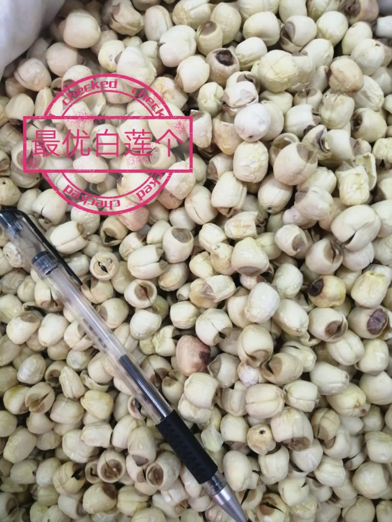 莲子，各种规格的莲子出售，颜色漂亮干度好，大量现货供应