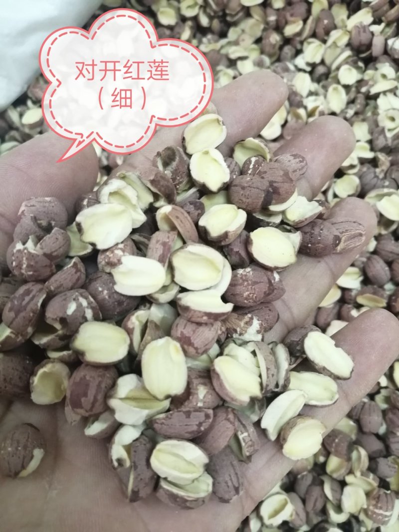 莲子，各种规格的莲子出售，颜色漂亮干度好，大量现货供应