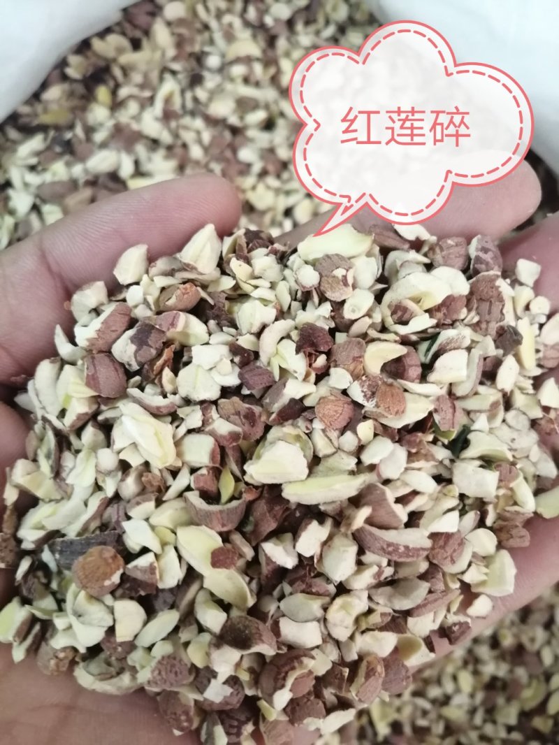 莲子，各种规格的莲子出售，颜色漂亮干度好，大量现货供应