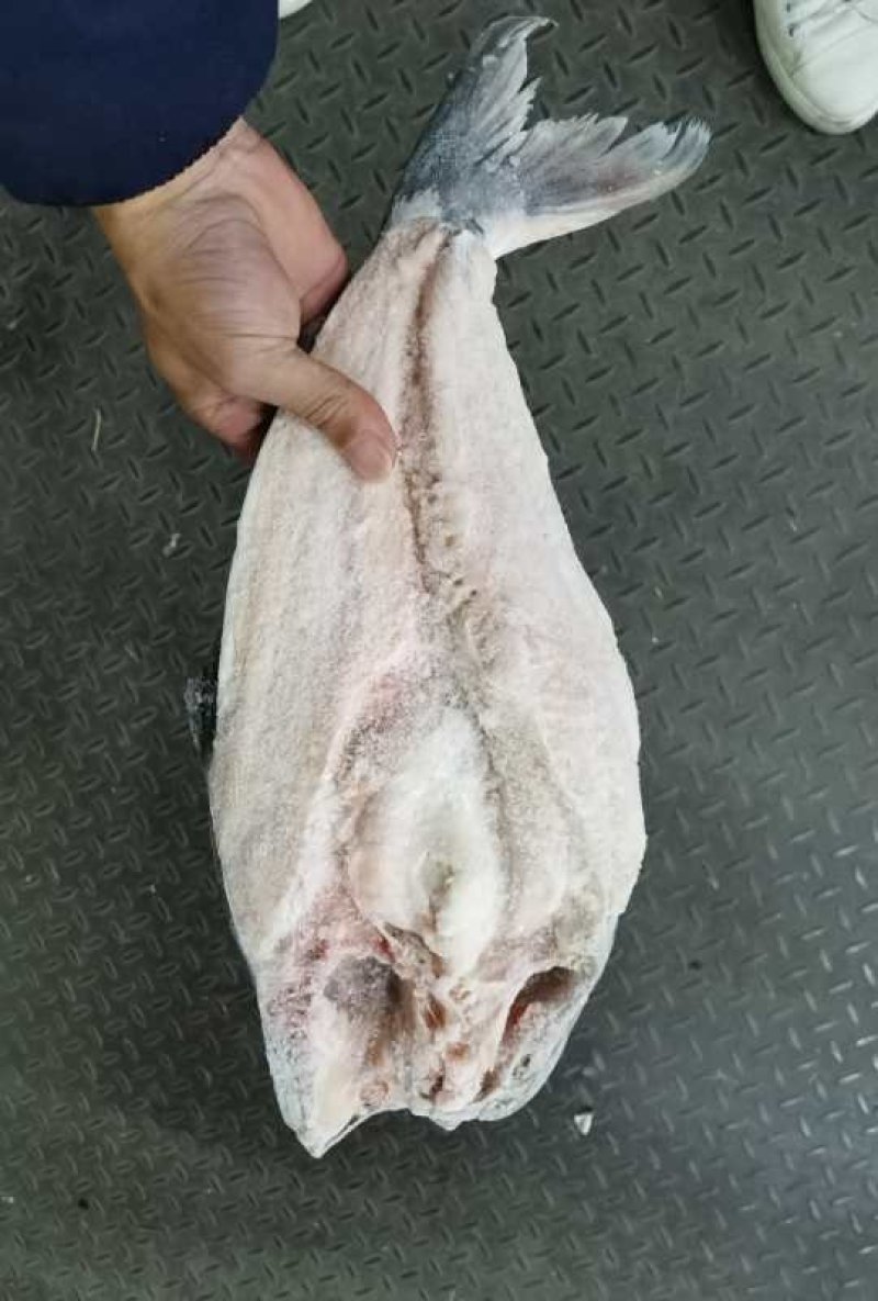 开背巴沙鱼，9成干冰开背巴沙鱼，厂家直供