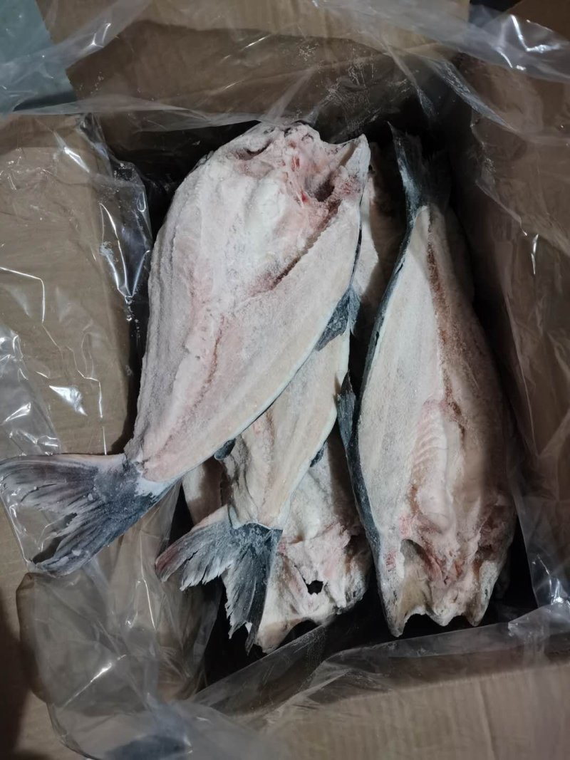 开背巴沙鱼，9成干冰开背巴沙鱼，厂家直供