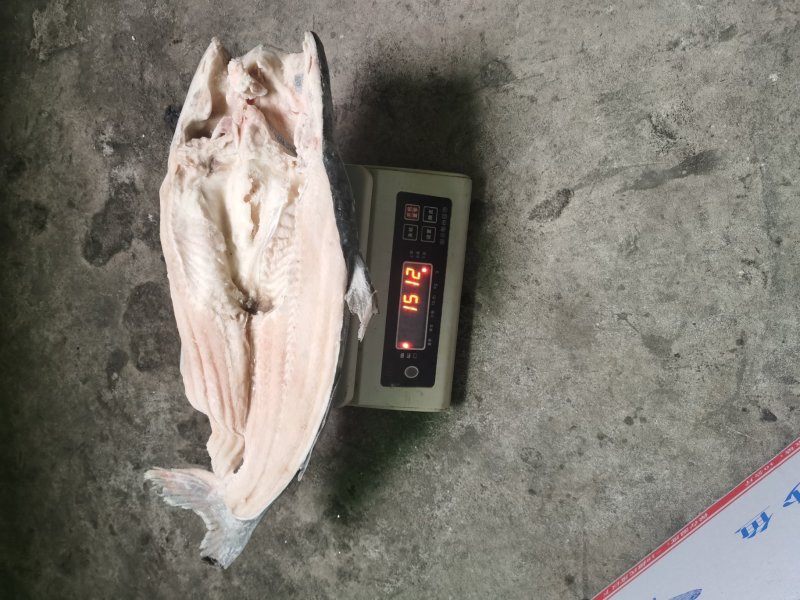 开背巴沙鱼，9成干冰开背巴沙鱼，厂家直供