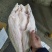 开背巴沙鱼，9成干冰开背巴沙鱼，厂家直供