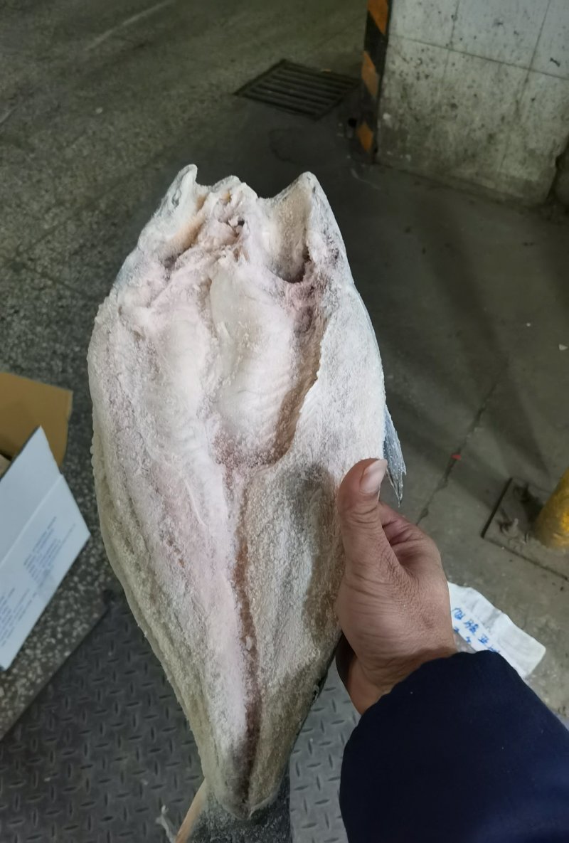 开背巴沙鱼，9成干冰开背巴沙鱼，厂家直供