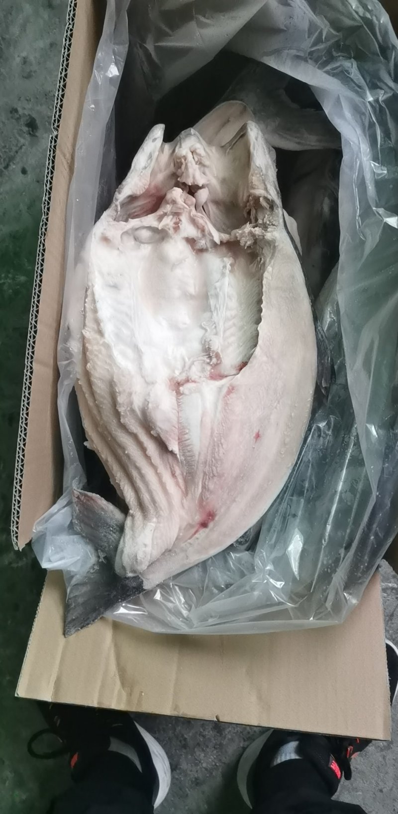 开背巴沙鱼，9成干冰开背巴沙鱼，厂家直供