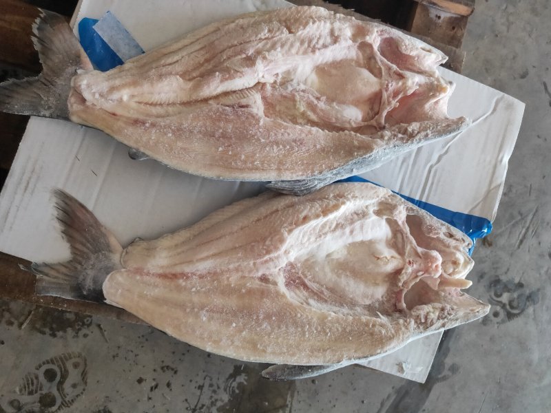 开背巴沙鱼，9成干冰开背巴沙鱼，厂家直供