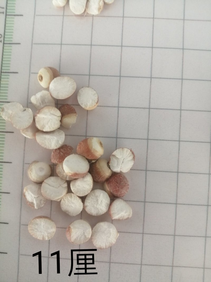 芡实，广东大肇实，大量现货供应，颜色漂亮干度好