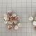 芡实，广东肇庆特产大肇实，大量现货供应！