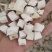 葛根产地直供大量批发零售
