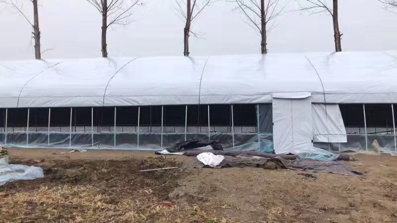 [热卖]养殖大棚厂家直销热镀锌钢管支持定制