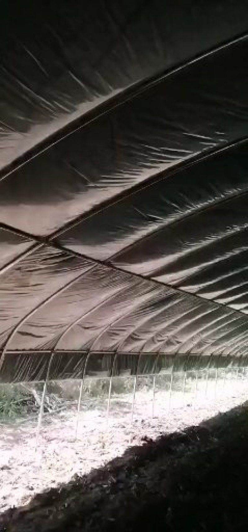 [热卖]养殖大棚厂家直销热镀锌钢管支持定制