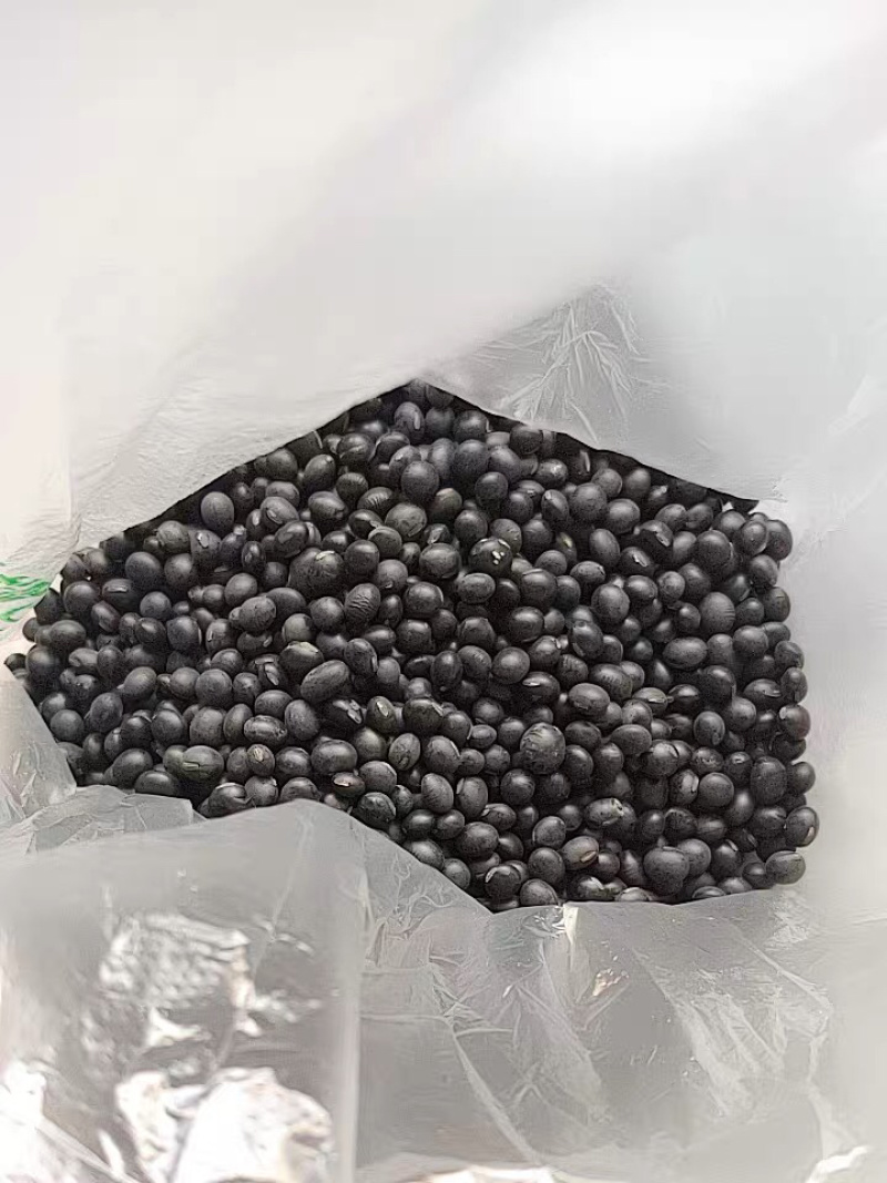 黑豆黄心黑豆黄心小黑豆1111农家初选111