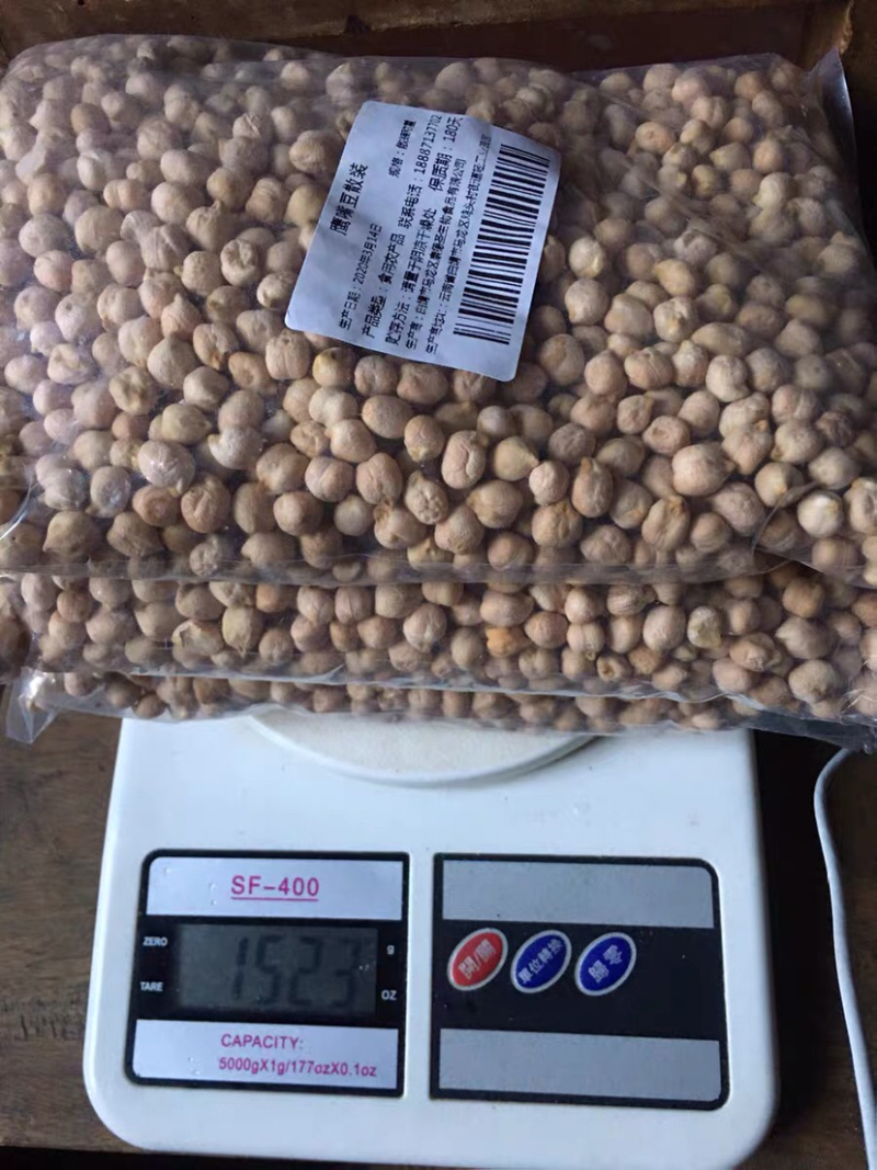 鹰嘴豆干鹰嘴豆药用鹰嘴豆1鸡心11111豆