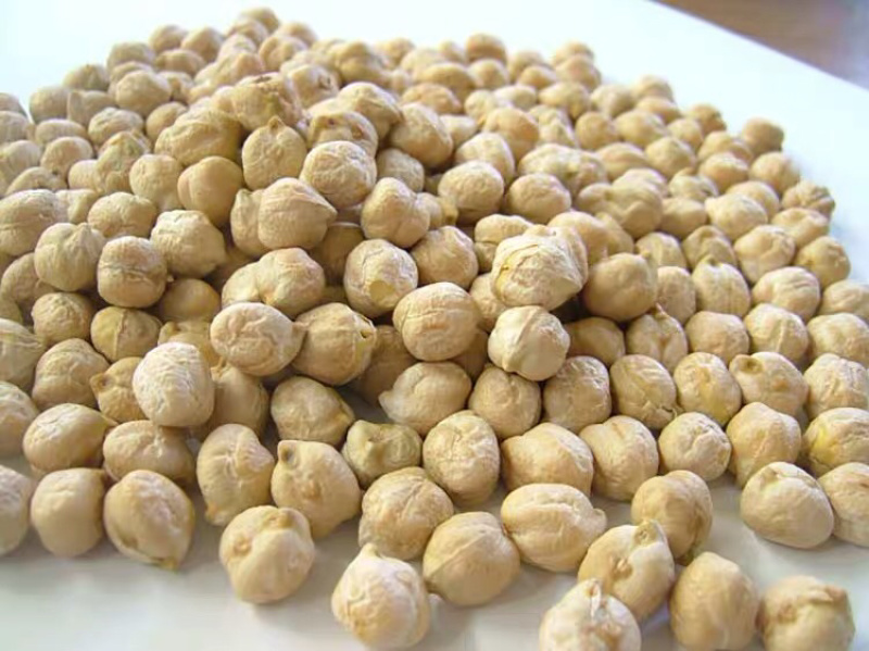 鹰嘴豆干鹰嘴豆药用鹰嘴豆1鸡心11111豆