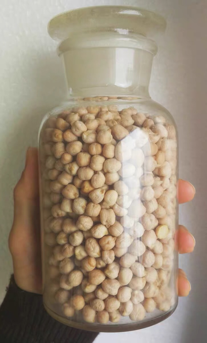 鹰嘴豆干鹰嘴豆药用鹰嘴豆1鸡心11111豆