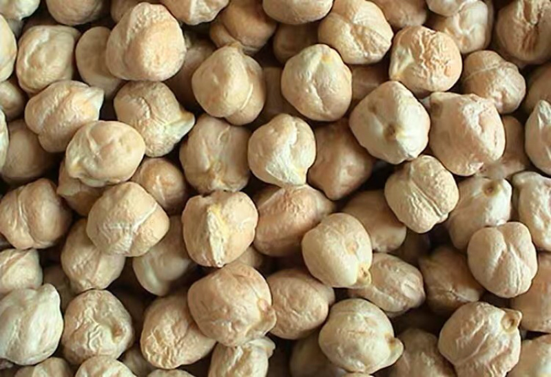 鹰嘴豆干鹰嘴豆药用鹰嘴豆1鸡心11111豆