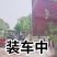 造型景观石榴树，规格齐全