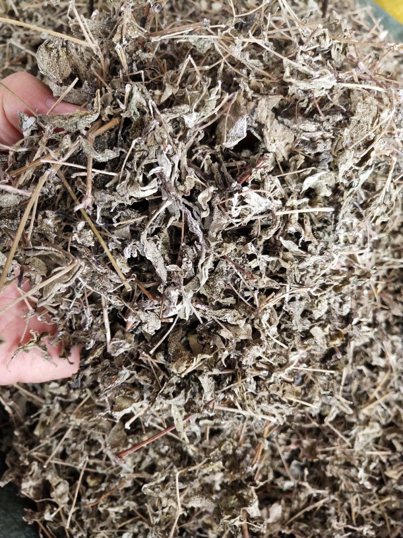 藤茶，溪黄茶，莓茶、端午茶、藤婆茶（又称山甜茶、龙须茶