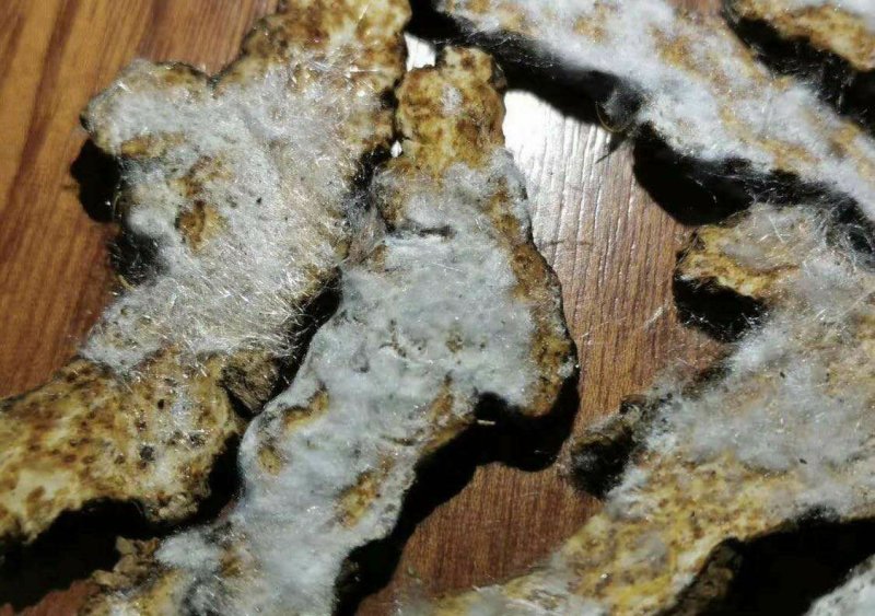 茅苍术麸炒苍术商洛道地源产地现货大量供应