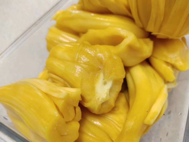 海南热带水果菠萝蜜密