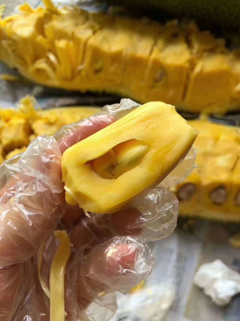 海南热带水果菠萝蜜密