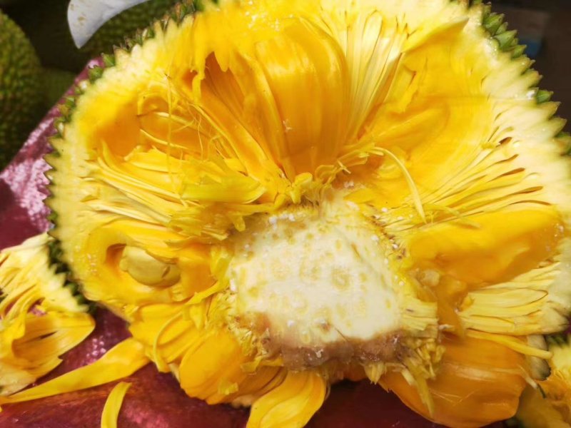 海南热带水果菠萝蜜密