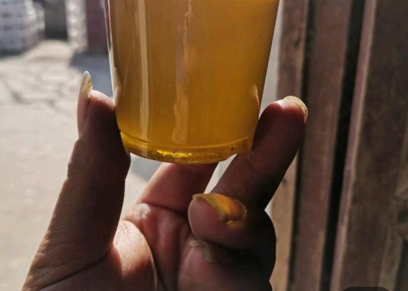 江西菜籽
