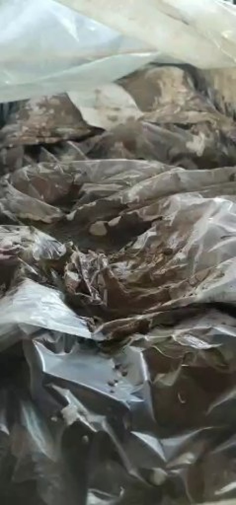 咸泥腌制散黄咸鹅蛋，黄泥咸鹅蛋
