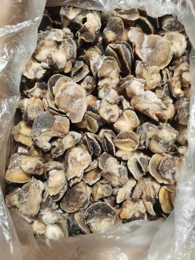 玉螺肉，原汁速冻玉螺肉，玉螺大个单冻，鲜度好