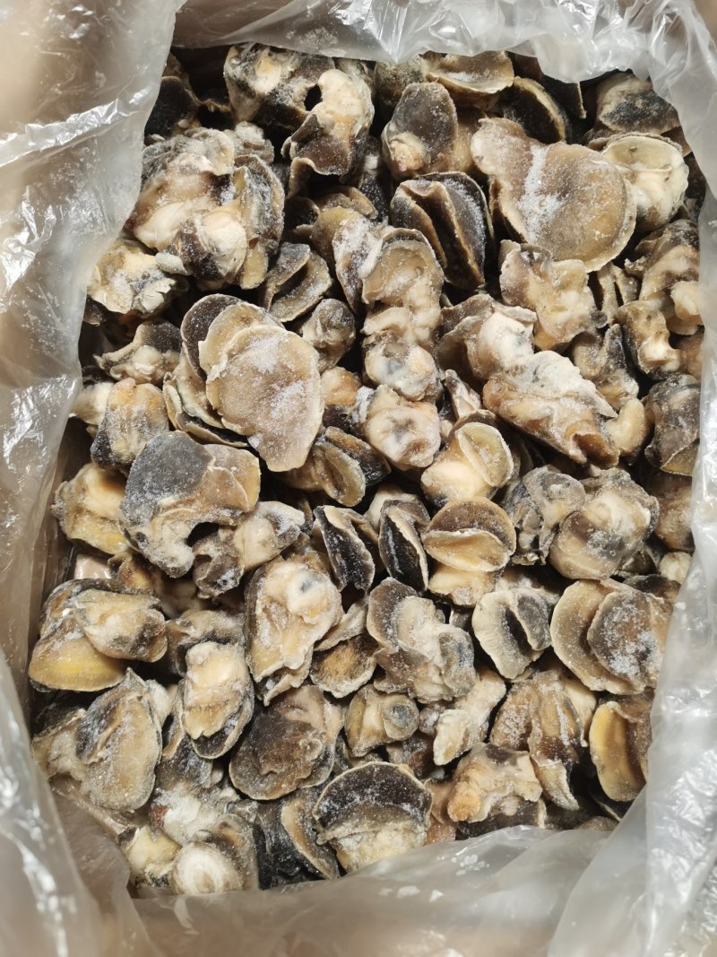 玉螺肉，原汁速冻玉螺肉，玉螺大个单冻，鲜度好