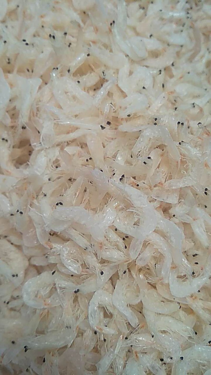 虾皮厂家直销规格两千多种欢迎选购
