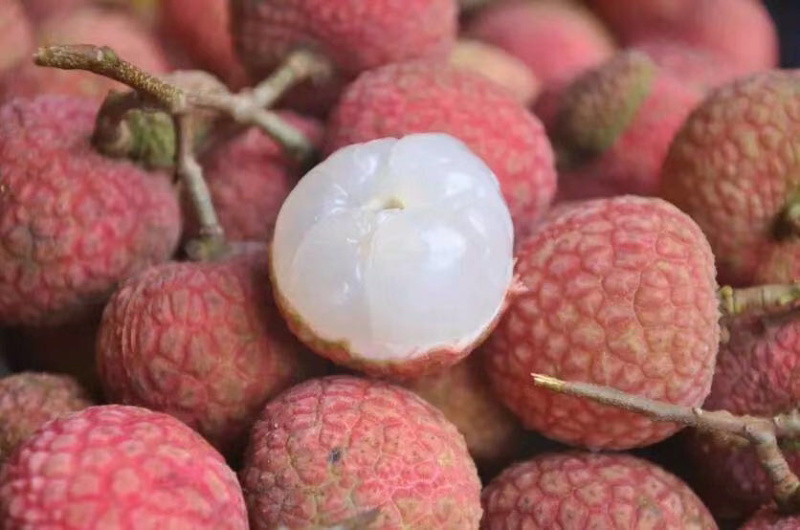 广东茂名荔枝白糖罂三月红摘新鲜，支持一件代发