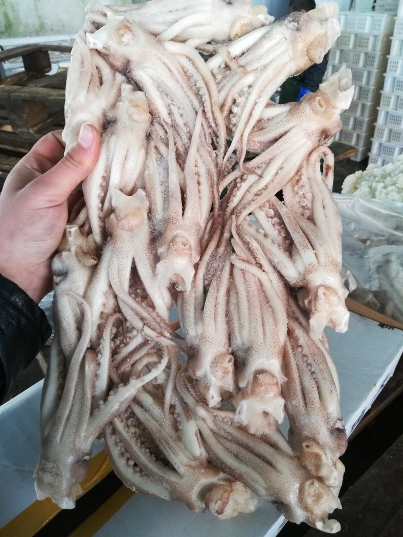 鱿鱼须鱿鱼头，机洗头，纯干鱿鱼头鱿鱼须各种规格，品质保证