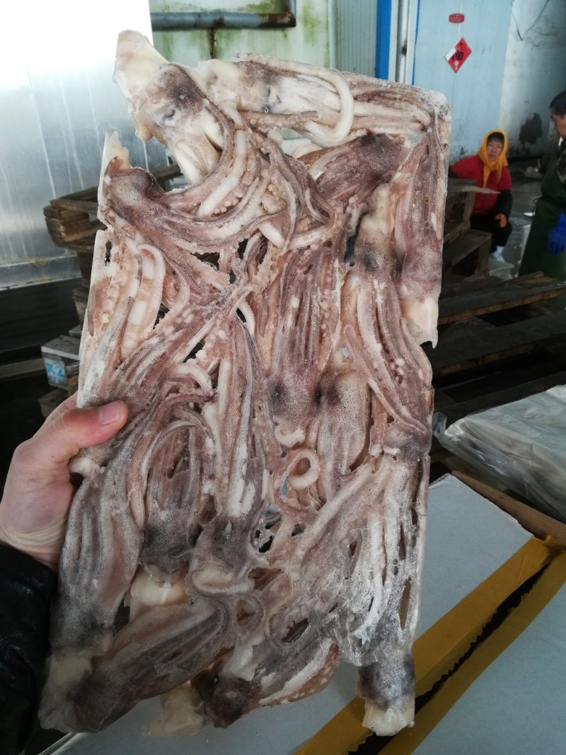 鱿鱼须鱿鱼头，机洗头，纯干鱿鱼头鱿鱼须各种规格，品质保证