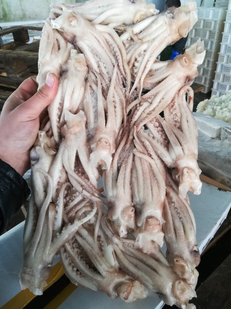 鱿鱼须鱿鱼头，机洗头，纯干鱿鱼头鱿鱼须各种规格，品质保证