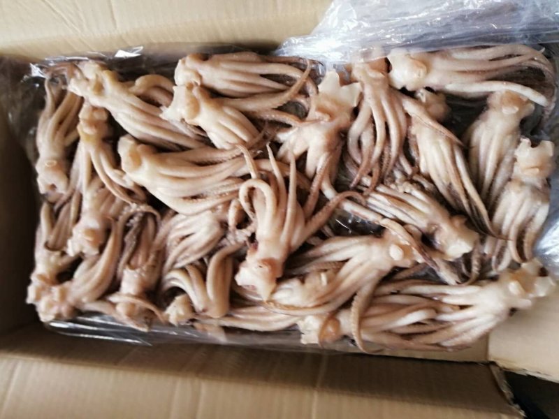 鱿鱼头鱿鱼头原料机洗鱿鱼头阿鱿头鱿鱼须