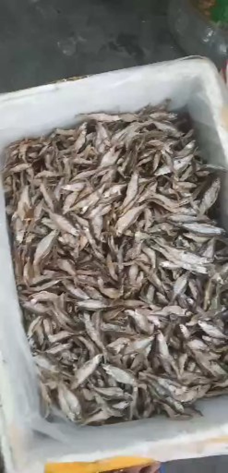 鱼干