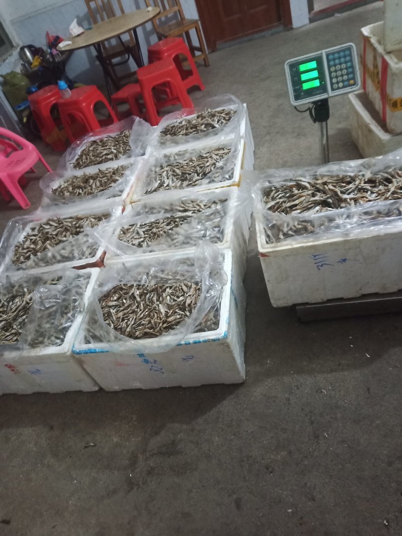 鱼干