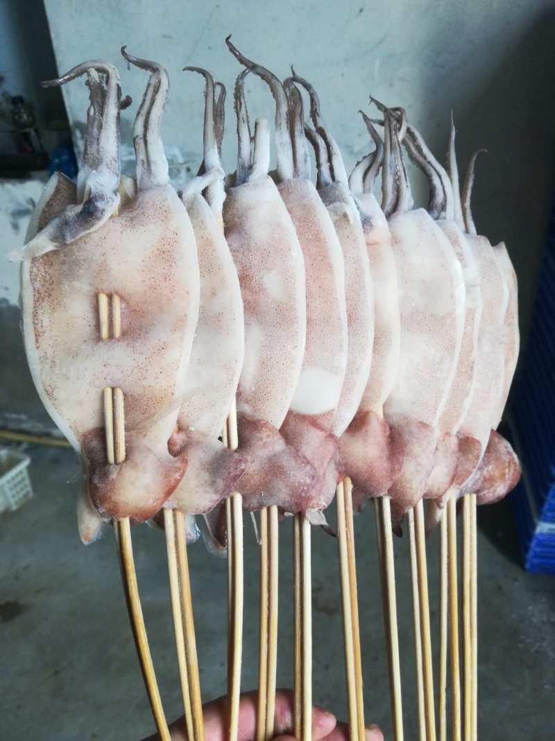 鱿鱼串，鱿鱼，鱿鱼板串，半切鱿鱼串鱿鱼须串