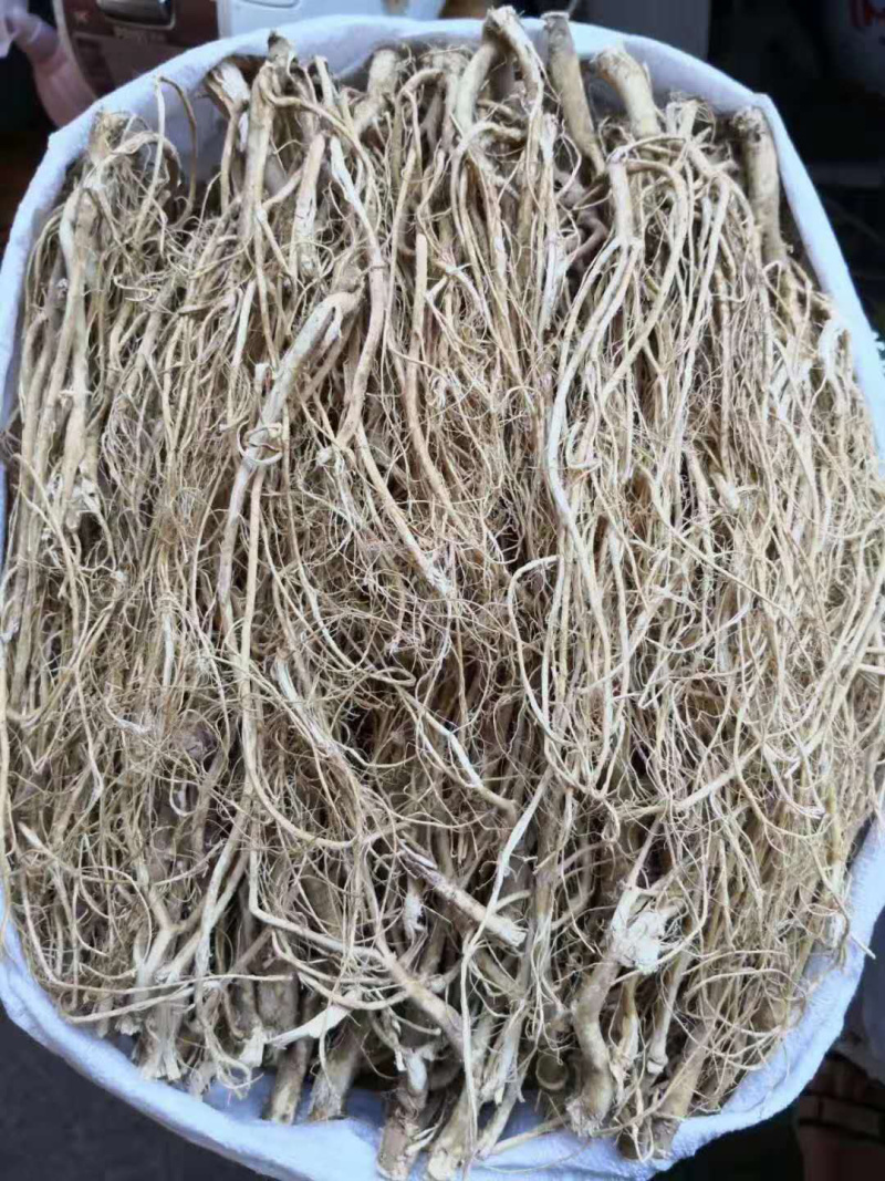 石参根【包邮】三斤起发货可批量可零售量大从优